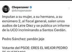 Votante del PSOE promedio be like