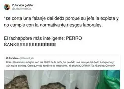 Perro S&aacute;nchez tiene la culpa que te cortes el dedo en el trabajo