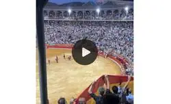 Para Pedro S&aacute;nchez debe ser un honor que le insulten en una plaza de toros