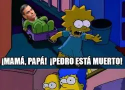 7 vidas tiene un galgo