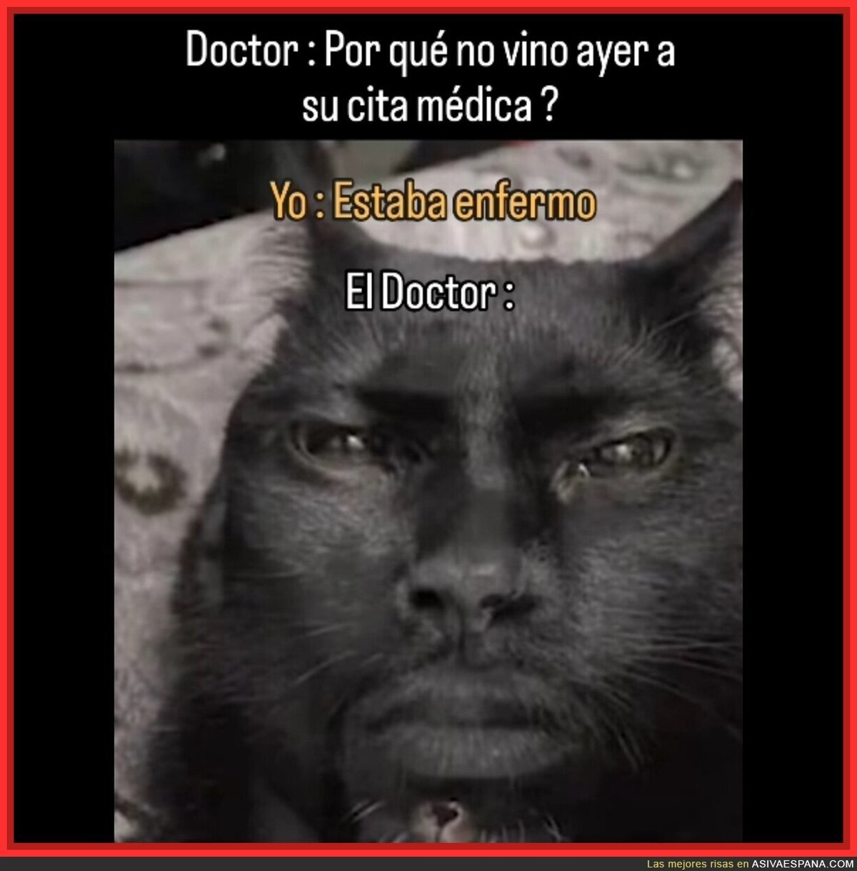 Visita al médico
