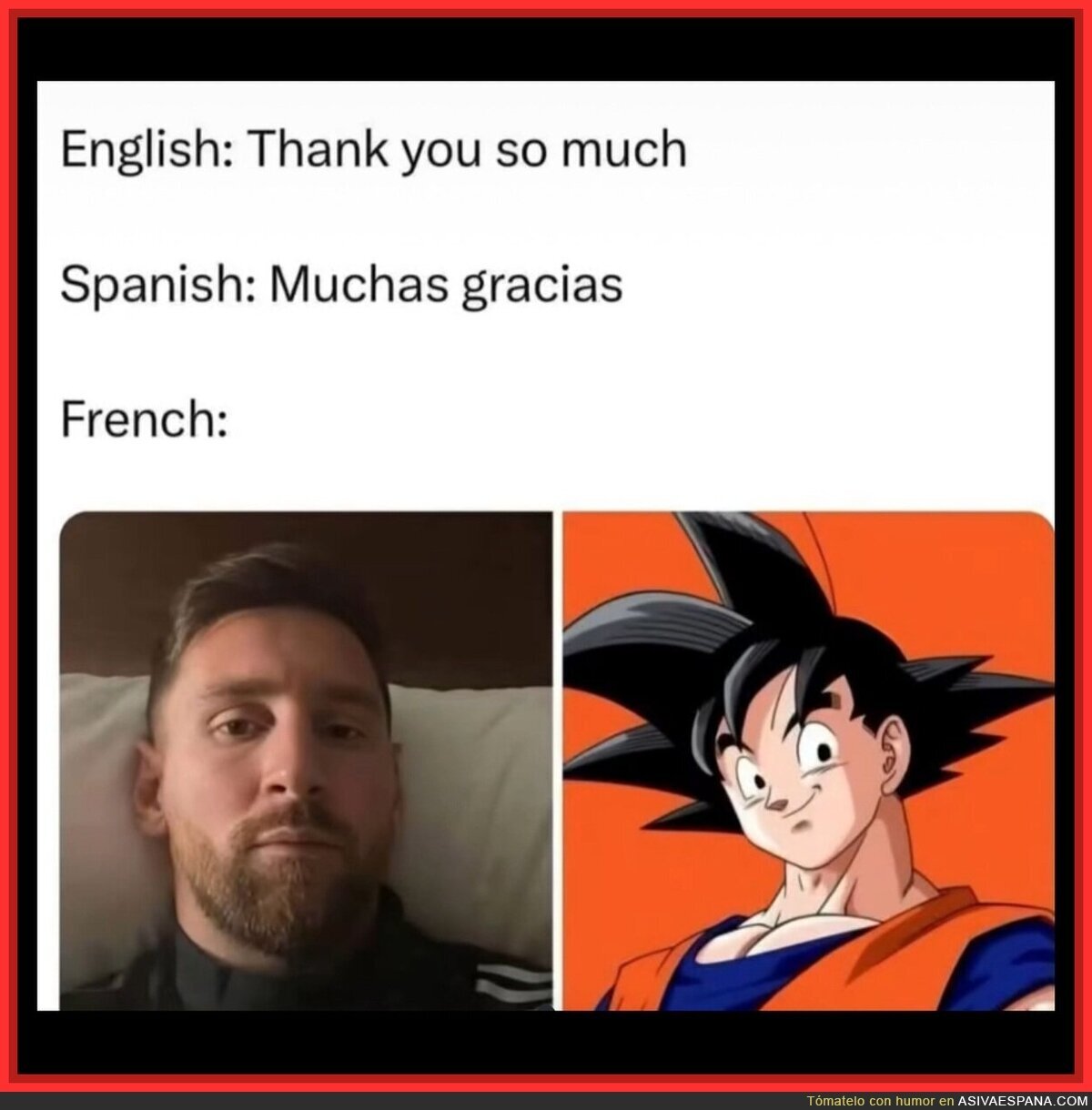 Aprendiendo idiomas