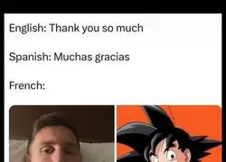 Aprendiendo idiomas