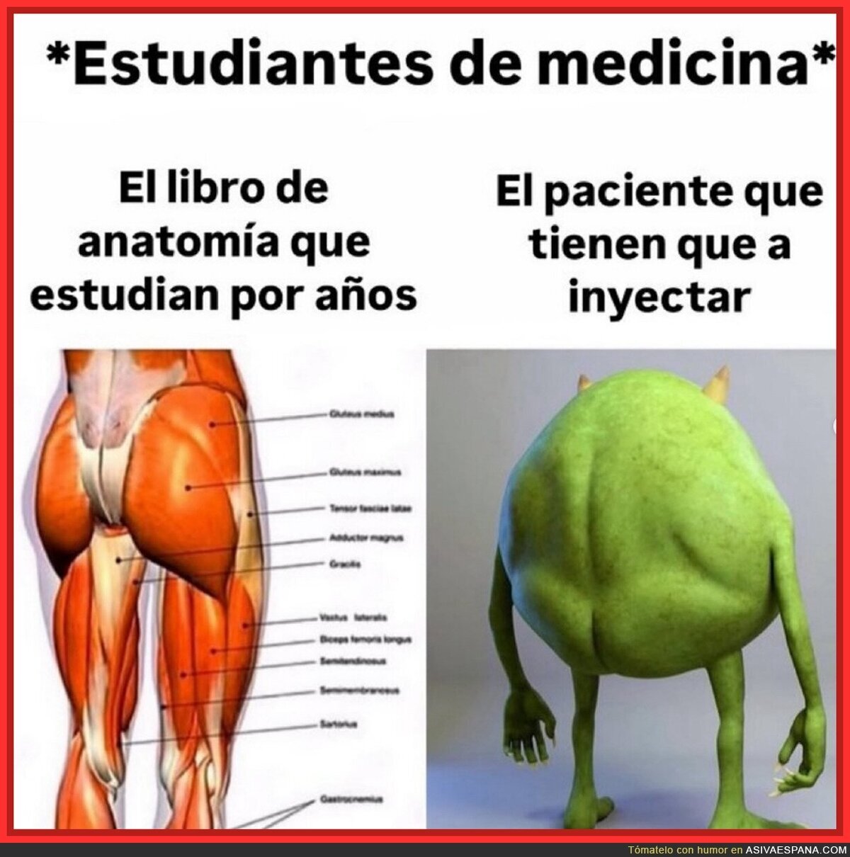Los estudiantes de Medicina no lo tienen fácil