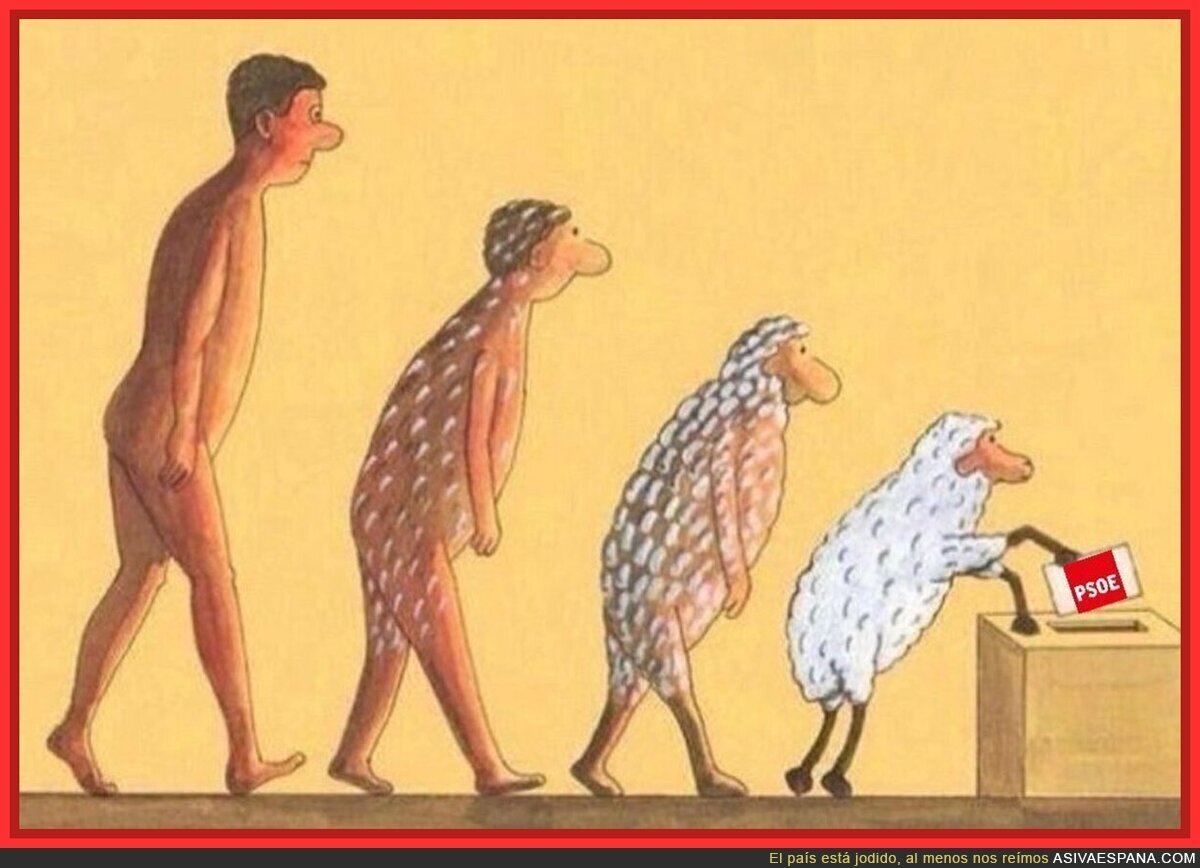 Como borregos