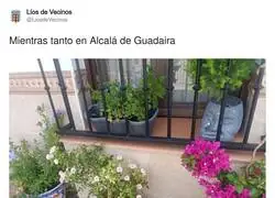 Quien avisa no es traidor