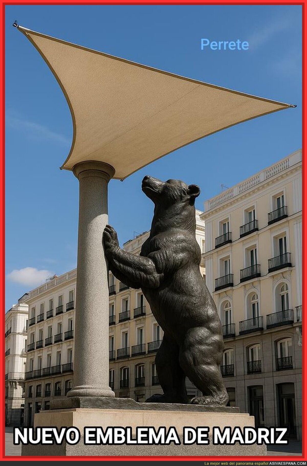 El oso y el toldo