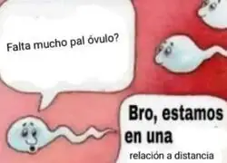 Problemas a distancia