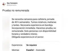 Trabajar de gratis es el sue&ntilde;o de toda persona, claro