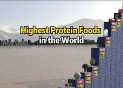 Comparaci&oacute;n de la prote&iacute;na en diferentes alimentos