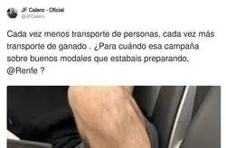 La poca educaci&oacute;n que hay con el resto de pasajeros en los trenes