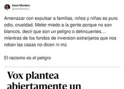 VOX es un aut&eacute;ntico peligro