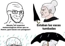El idioma de las vacas