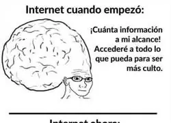Internet ha degenerado todo