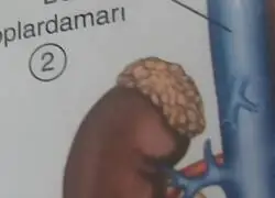 Nunca volver&eacute; a ver a Lamine Yamal de la misma forma