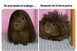 El trabajo se complica con el paso de las horas