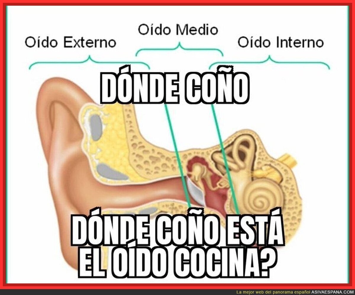No me lo enseñaron en la escuela