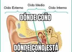 No me lo ense&ntilde;aron en la escuela