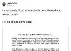 Noelia N&uacute;&ntilde;ez dimite de todos sus cargos
