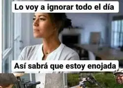 Un d&iacute;a en paz