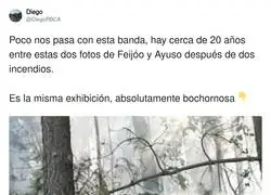 Lo del PP con los incendios es lamentable