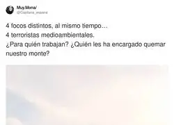 Es sospechoso cuanto menos