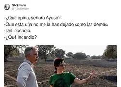 Las preocupaciones de Ayuso