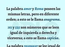 La riqueza del castellano