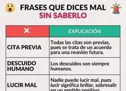 La grandeza de nuestro idioma