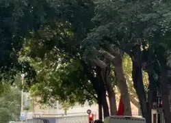 Podr&iacute;a ser una escena de &lsquo;The Walking Dead&rsquo; pero es un d&iacute;a m&aacute;s en el barrio de Sant Antoni de Barcelona