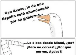 Ayuso y su l&oacute;gica