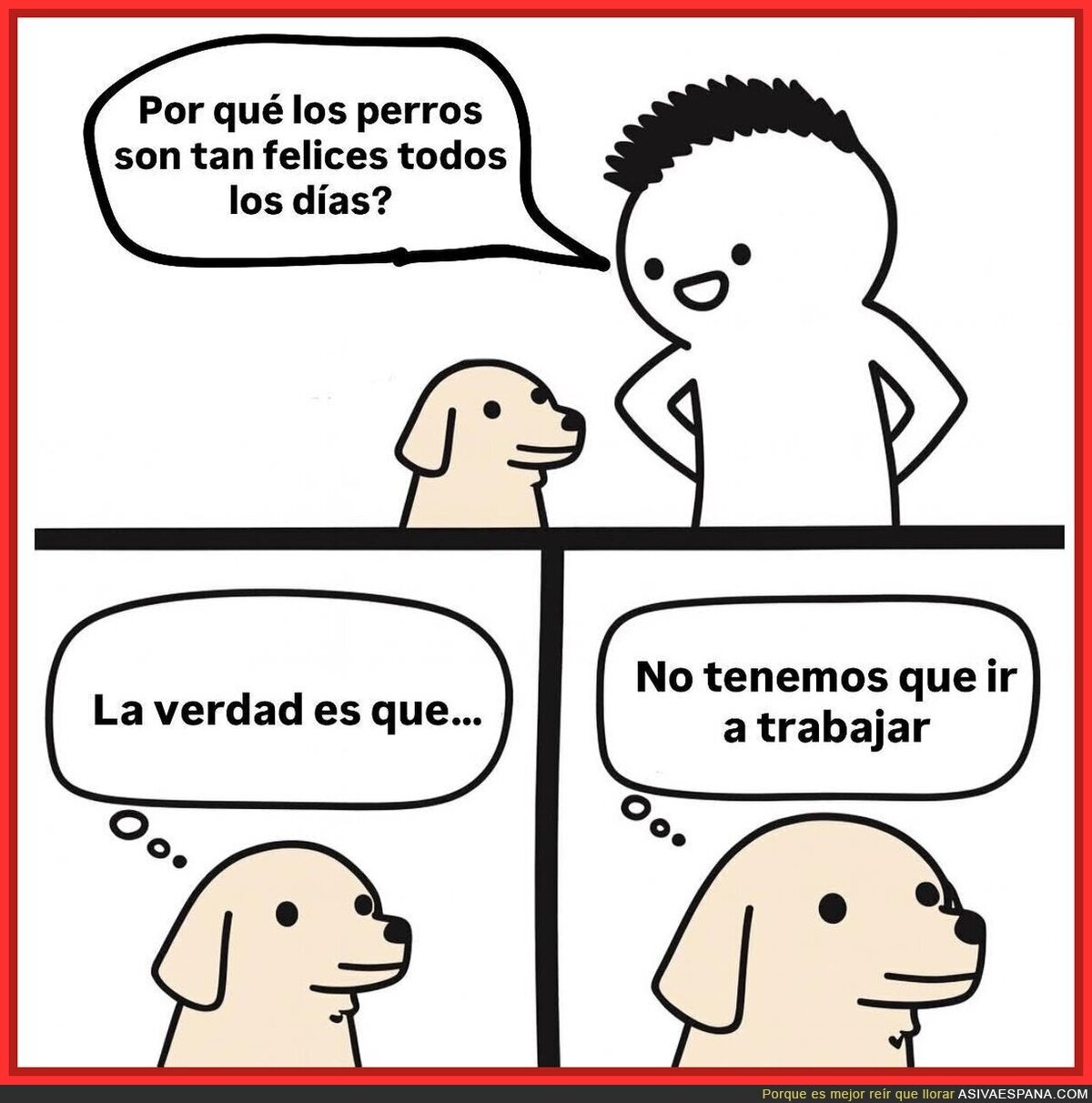 Los perros tienen una vida perfecta