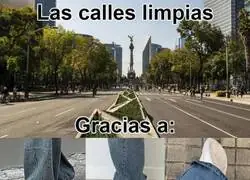 La moda de limpiar calles