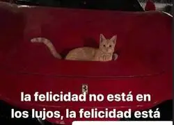 La aut&eacute;ntica felicidad