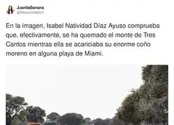 Gracias por tanto Ayuso