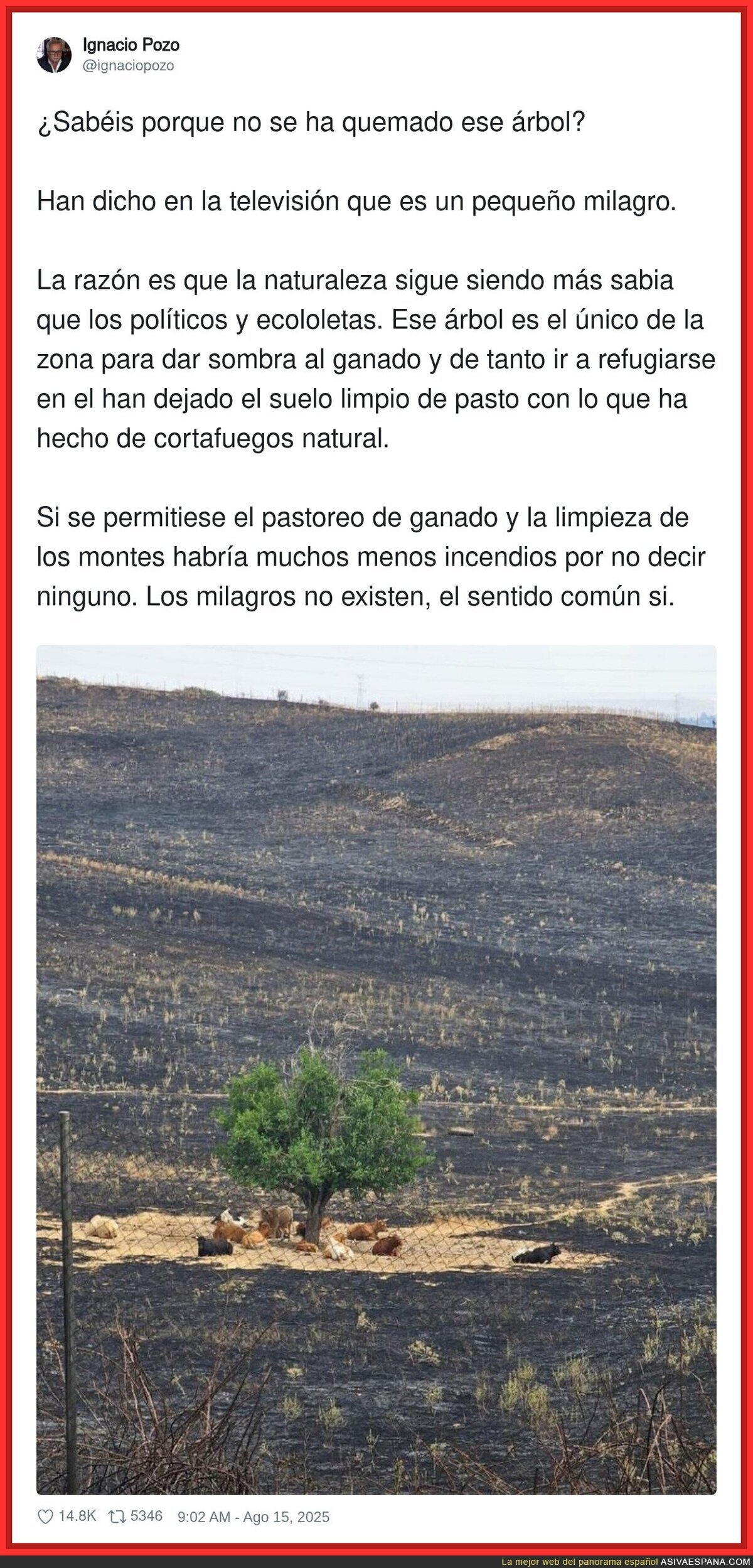 Cosas de la naturaleza