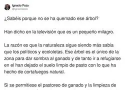 Cosas de la naturaleza