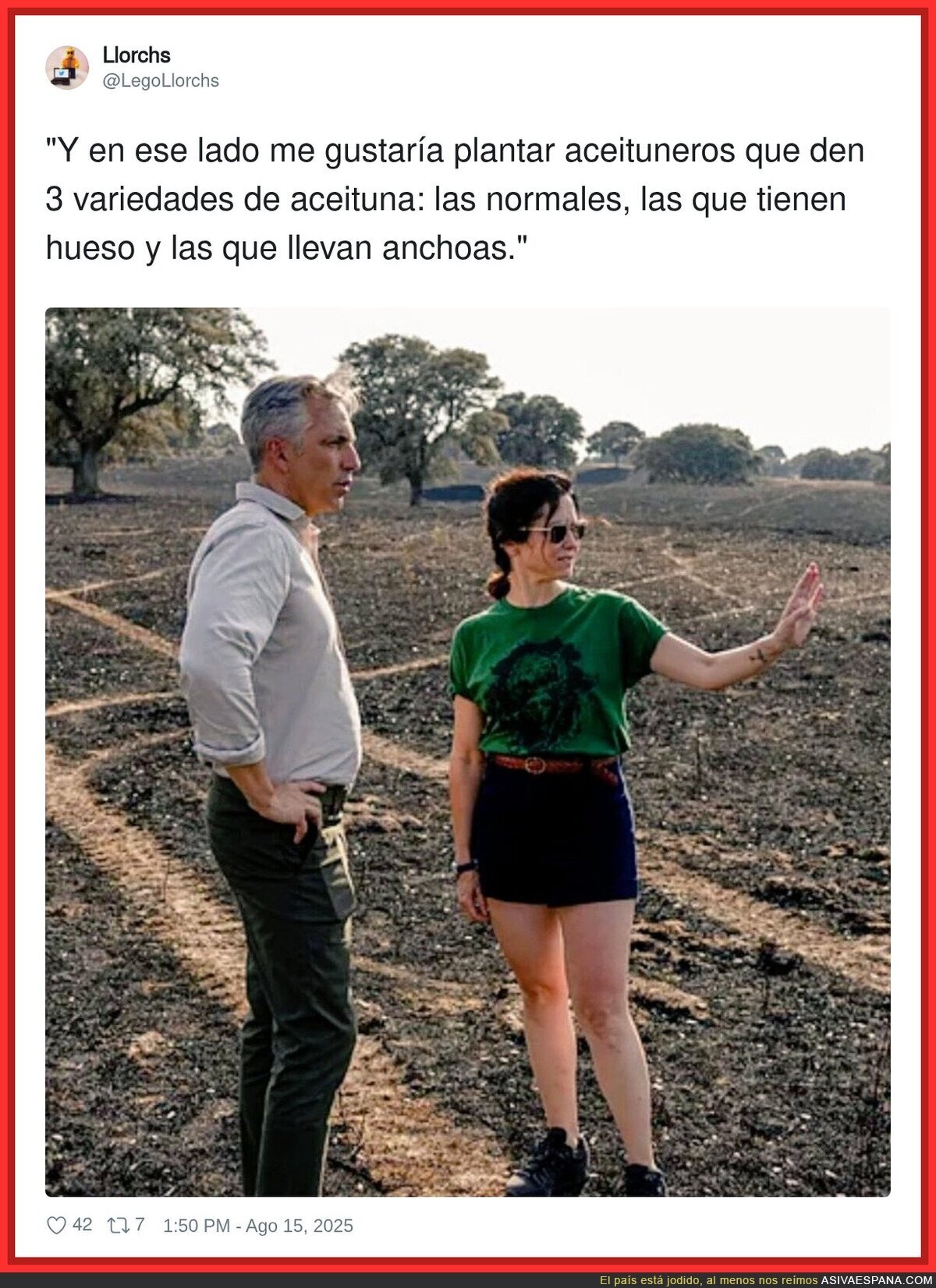 Planes de futuro