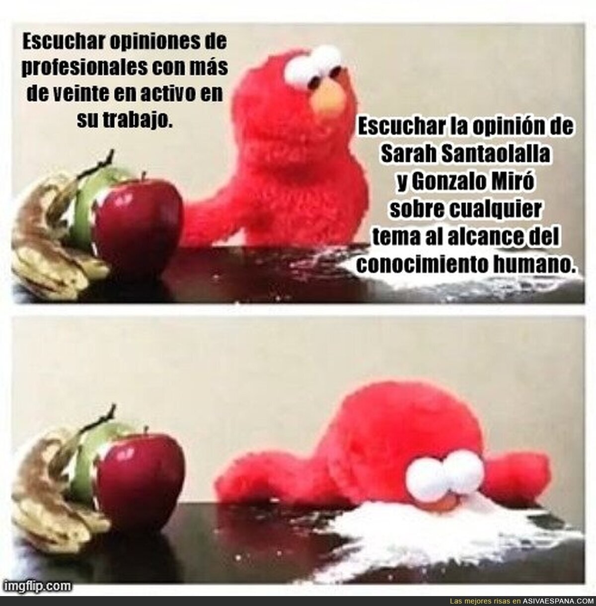 No hay color, ellos saben de todo, el otro notas solo sabe de lo suyo.