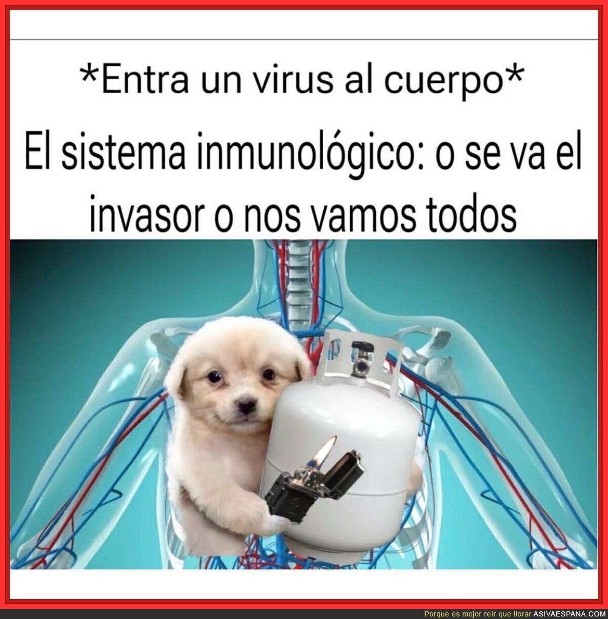 Así de sencillo es el cuerpo humano