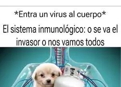 As&iacute; de sencillo es el cuerpo humano