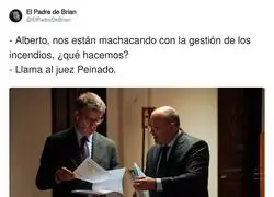 El Juez Peinado al rescate del PP