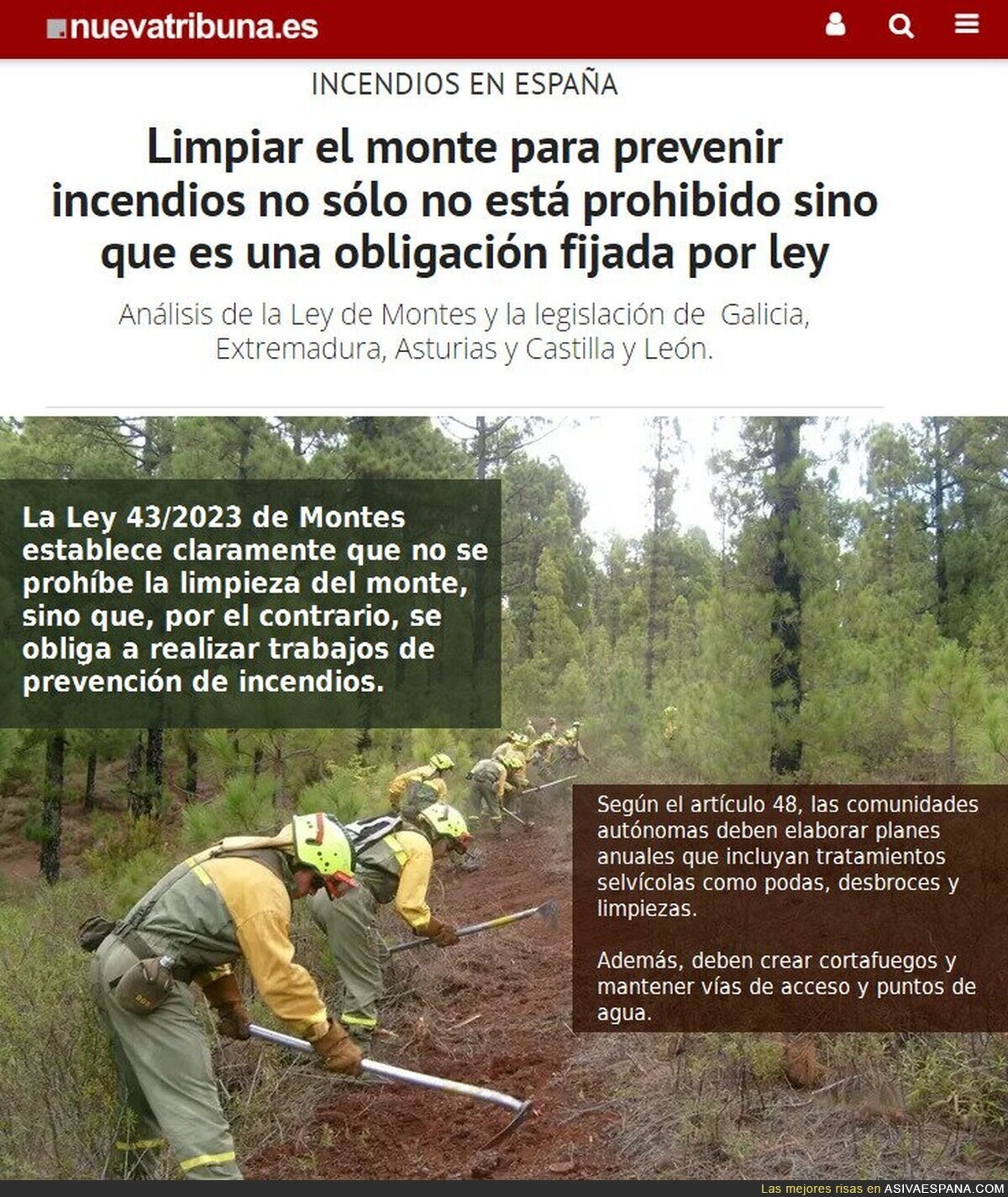 El BULO de la prohibición de limpiar el monte se destruye con solo leer la ley. Spoiler; es todo lo contrario