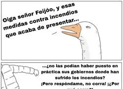 Feij&oacute;o podr&iacute;a ir adelantando trabajo hace a&ntilde;os