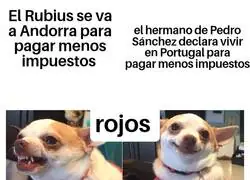 &iquest;Por qu&eacute; no se critica a todos por igual?