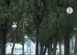 La nueva 'moda' de ir a leer el parque con m&aacute;s gente