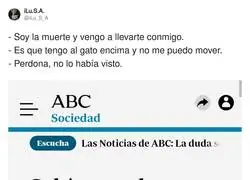 La vida con gatos se lleva mejor