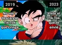 Con TikTok hemos perdido la cabeza