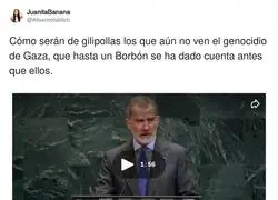 El Rey Felipe pone un poco de cordura en la ONU