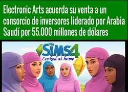 Ya estoy viendo cual va a ser el pr&oacute;ximo DLC de Los Sims